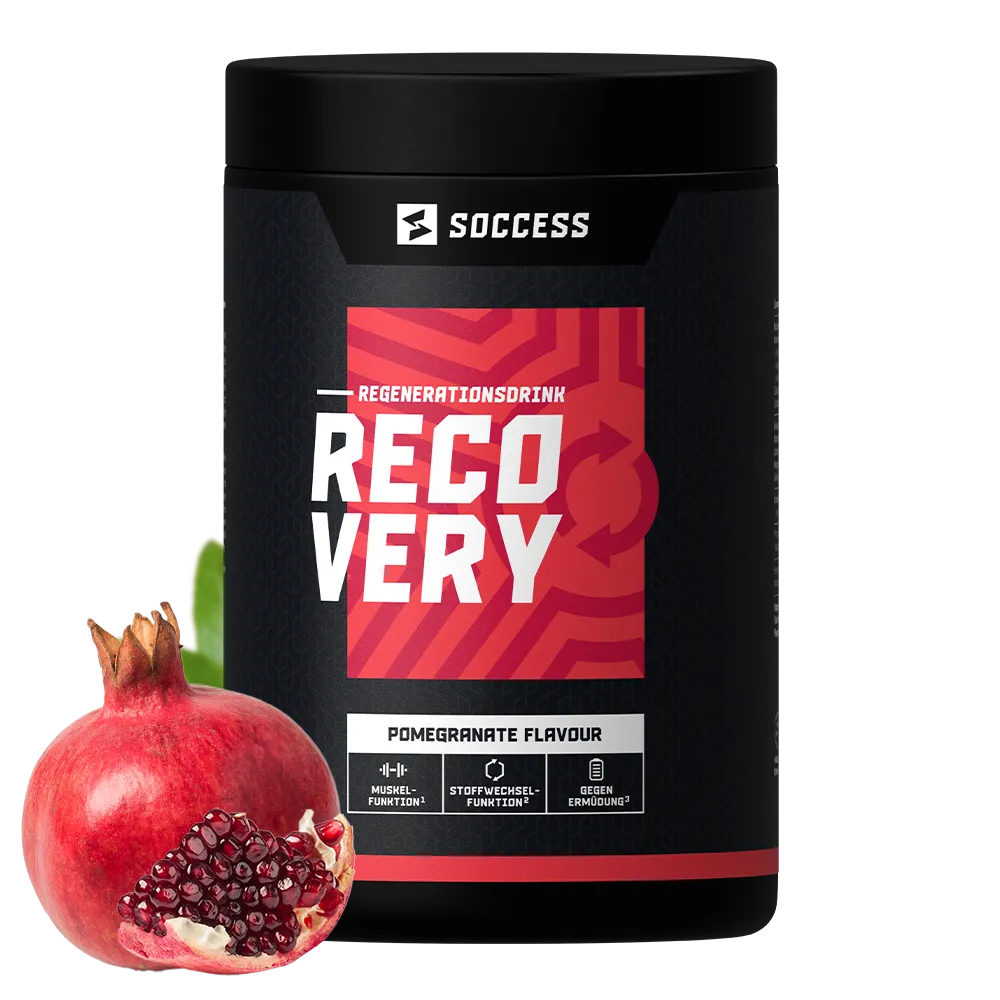 RECOVERY (Gratis)